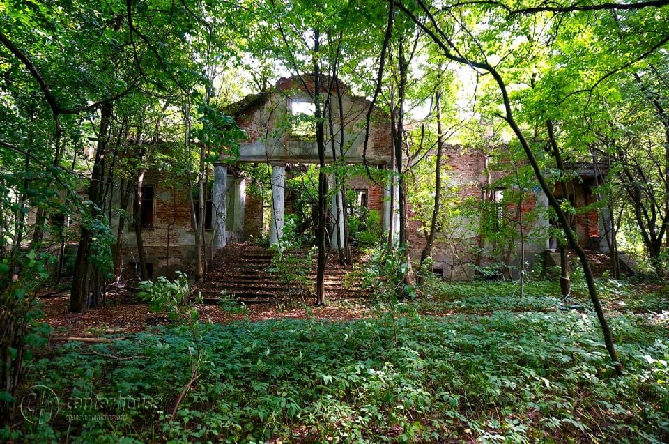 Dom Dąbrowica