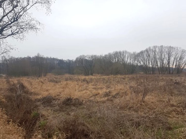 Działka Czepino
