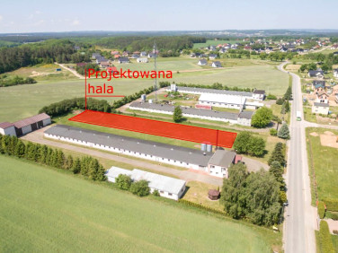 Lokal Gowino