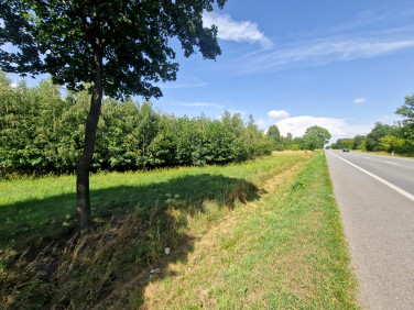 Działka inwestycyjna Borysławice Zamkowe