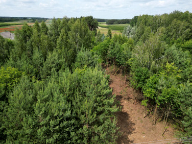 Działka budowlana Stare Orzechowo