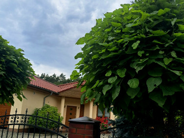 Dom Żagań