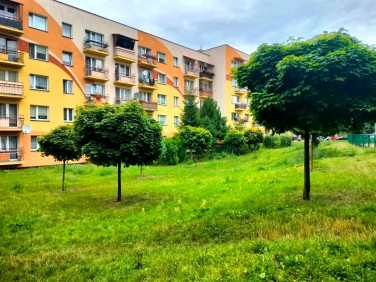 Mieszkanie Radom