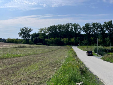 Działka Przytok