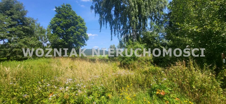 Działka siedliskowa Mieroszów