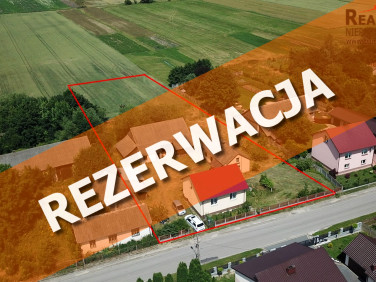 Dom Kotki sprzedaż