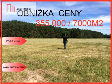 Działka Brzózki