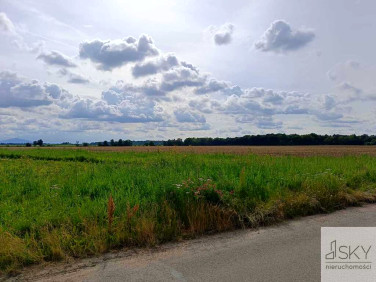 Działka KOBIERZYCE