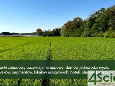Działka budowlana Młochów