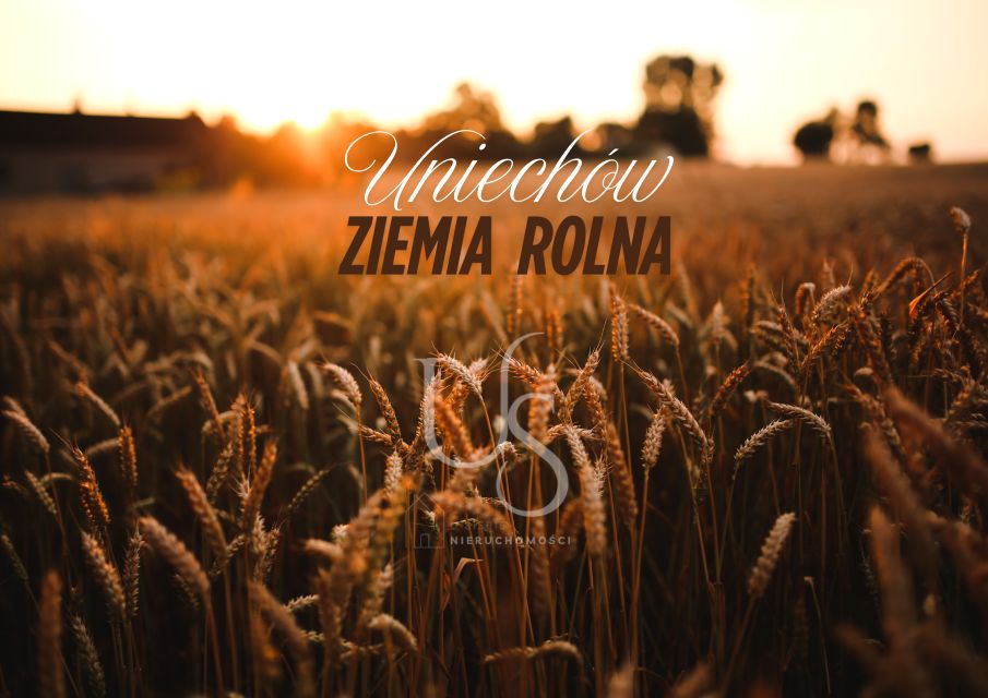 Działka rolna Uniechów