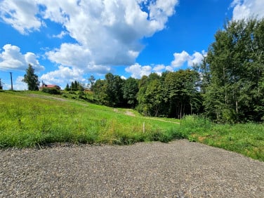 Działka Siepraw
