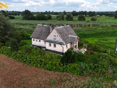 Dom Markusy