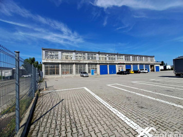 Lokal Krosno