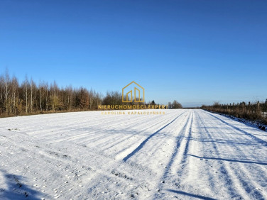 Działka Gorzów Wielkopolski