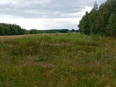 Działka inwestycyjna Helenów