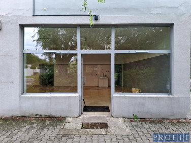 Lokal Katowice