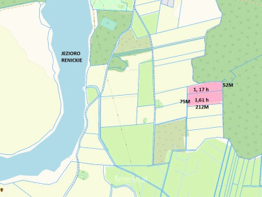 Działka rolna Renice sprzedam