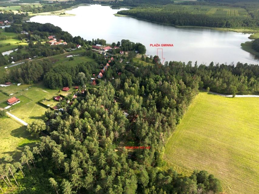 Działka leśna Guty Rożyńskie