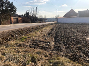 Działka budowlana Pierzchno sprzedam