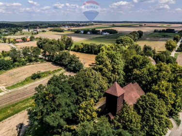 Działka Kicin