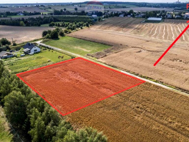 Działka przy lesie