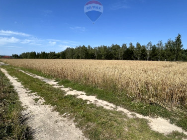 Działka budowlano-rolna Kicin sprzedam