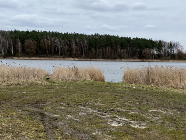 Działka Czarne Małe