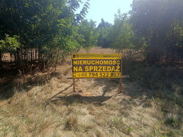 Działka budowlana Jeziory Wysokie