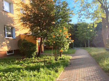 Mieszkanie Gdynia