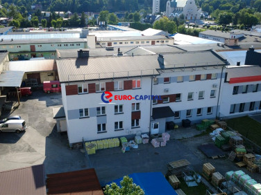 Lokal Wadowice