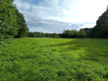 Działka budowlana Glinno