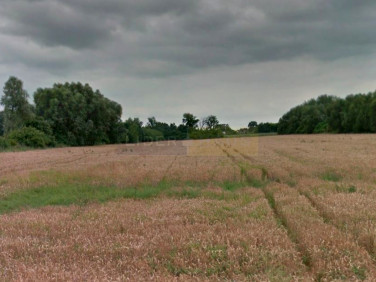 Działka przemysłowa Kazuń Nowy