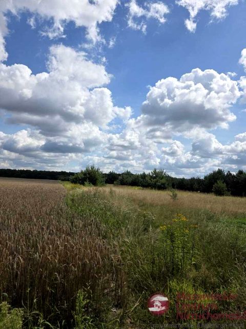 Działka budowlano-rolna Strubiny