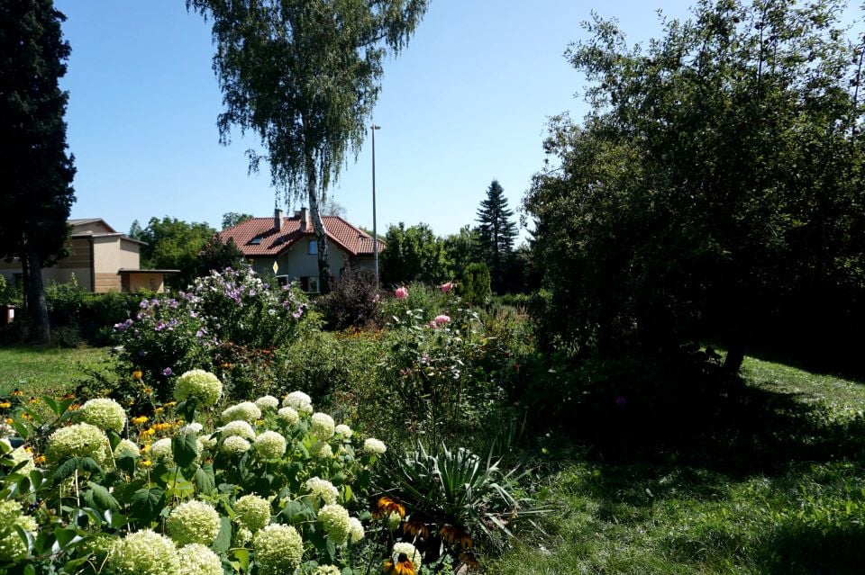Zdjęcie 2