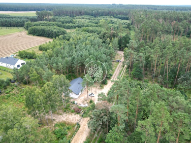 Dom Stary Jasiniec sprzedaż