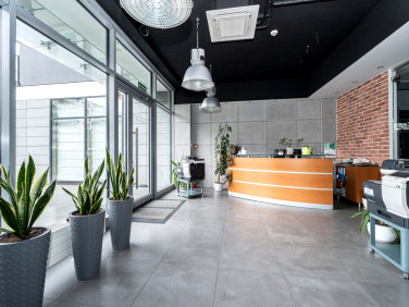 Lokal Warszawa
