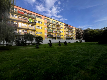 Mieszkanie Łódź