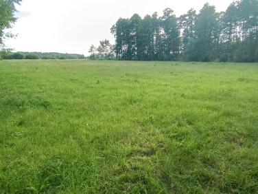 Działka budowlana Czubajowizna