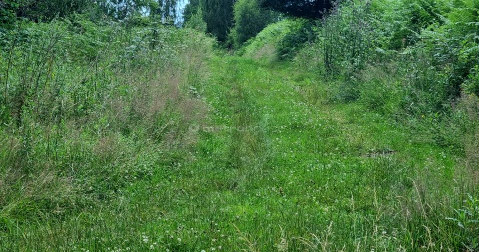 Działka budowlana Buczkowice