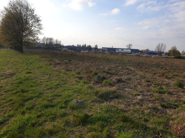 Działka Kostrzyn