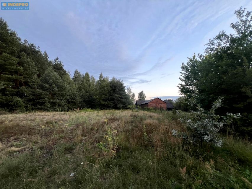 Działka rolna Mrowiska