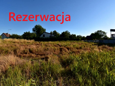 Działka przy lesie