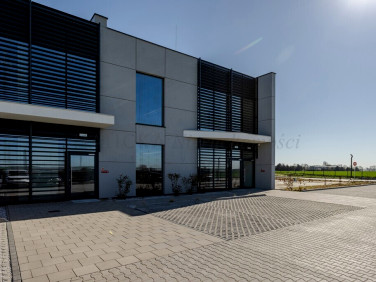 Lokal Skórzewo