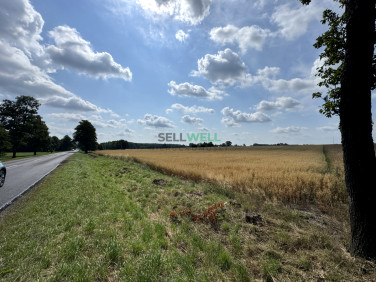Działka inwestycyjna Złotniki