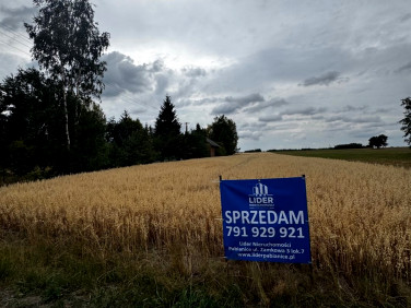 Działka budowlana Wodzierady