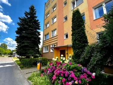 Mieszkanie Pabianice