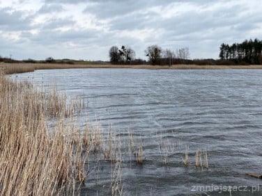 Działka budowlana Czarne Małe sprzedam
