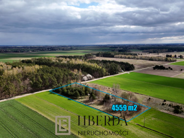 Działka Łuszczów Pierwszy