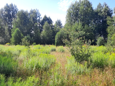 Działka budowlana Nowodworce sprzedam