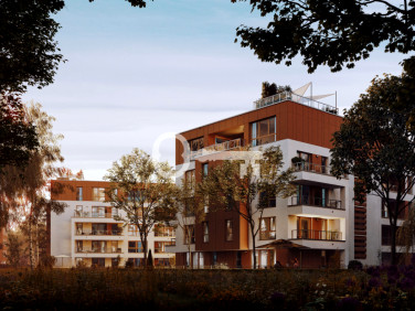 Lokal Sopot
